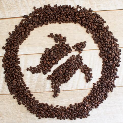 Charleston Coffee Roasters | Specialty Organic Whole Bean Coffee | Hand Picked, Premium Slow Roast (Loggerhead Sea Turtle Blend) 12oz
