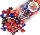 Assorted Fruit Flavored Tootsie Roll Pops- America's Favorite LolliPop with Chocolately Center- Classic, Bulk Sizes, Variety Pack (1 Pound)