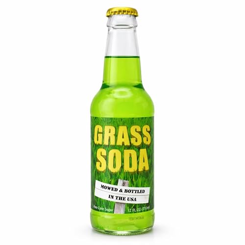 Rocket Fizz Grass Soda Flavor | Cane Sugar | Craft Soda Pop Drinks | 12 oz in Glass Bottle (1 Bottle)