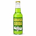 Rocket Fizz Grass Soda Flavor | Cane Sugar | Craft Soda Pop Drinks | 12 oz in Glass Bottle (1 Bottle)