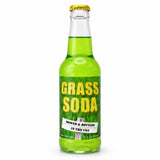 Rocket Fizz Grass Soda Flavor | Cane Sugar | Craft Soda Pop Drinks | 12 oz in Glass Bottle (1 Bottle)