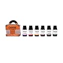 CocktailPunk Cocktail Bitters Small Batch Craft - Made in USA Using All Natural Organic Non GMO Fruits and Spices (Travelers Set, 6 Pack)