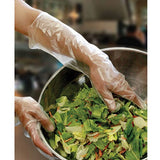 Royal Elbow Disposable Poly Gloves, 21.5 Inch, Box of 100