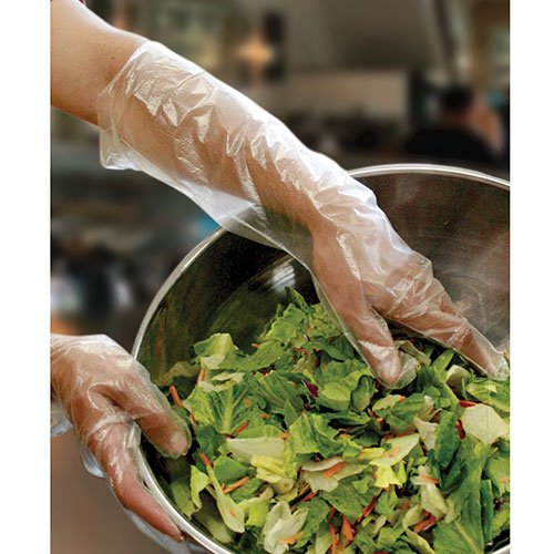 Royal Elbow Disposable Poly Gloves, 21.5 Inch, Box of 100