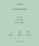Art of Tea | Organic Sencha Green Tea Bags | 50 Pyramid Tea Bag Sachets