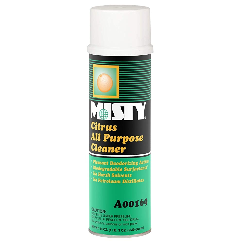 MISTY Citrus All-Purpose Cleaner - 19 oz (Case of 12) 1001583 - Biodegradable Aerosol, For Indoor and Outdoor Use, Fresh Citrus Scent