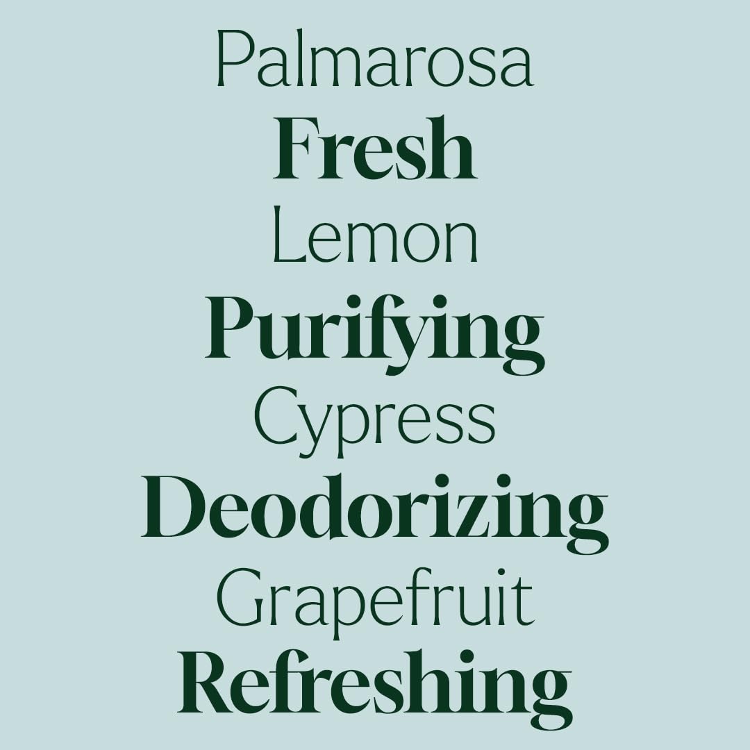 Plant Therapy Home Deodorizing Powder 16 oz, Odor Eliminator, Carpet Deodorizer, Multi-Use for Deep-Cleaning & Everyday Household Freshness, Powered