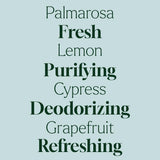 Plant Therapy Home Deodorizing Powder 16 oz, Odor Eliminator, Carpet Deodorizer, Multi-Use for Deep-Cleaning & Everyday Household Freshness, Powered