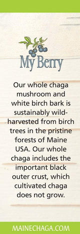 My Berry Maine Chaga Mushroom & Birch Bark Extract Liquid | 2oz | Wild Harvested & Double Extracted | USA & Canadian Grown Chaga