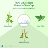 Organic India Organic Tulsi Original Tea, 25 CT