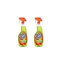 Spic And Span Antibacterial Spray Cleaner, 22 oz (2 Bottle Multipack)