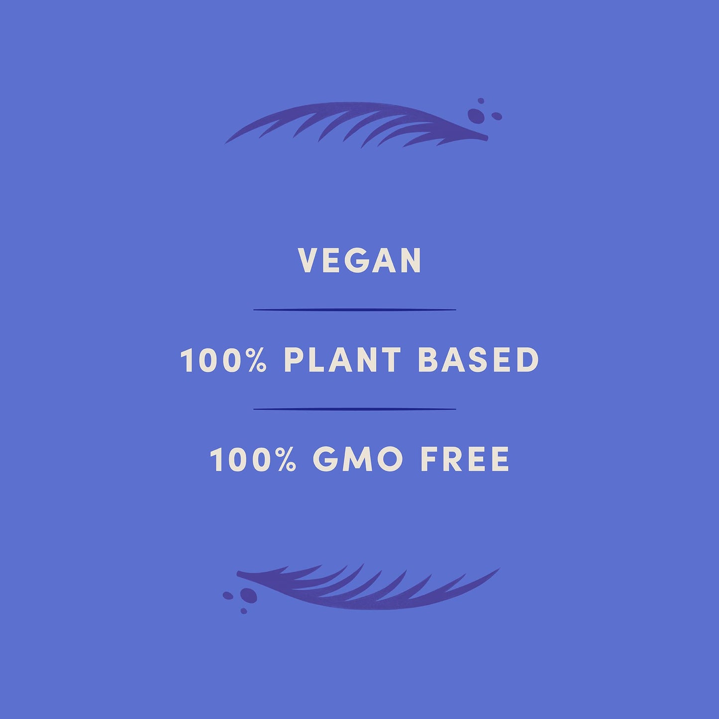LOVO Coconutmilk Chocolate, 100% Plant-based, Vegan, Non GMO, Gluten-Free, Swiss Made. 2.82 oz (Pack of 12)