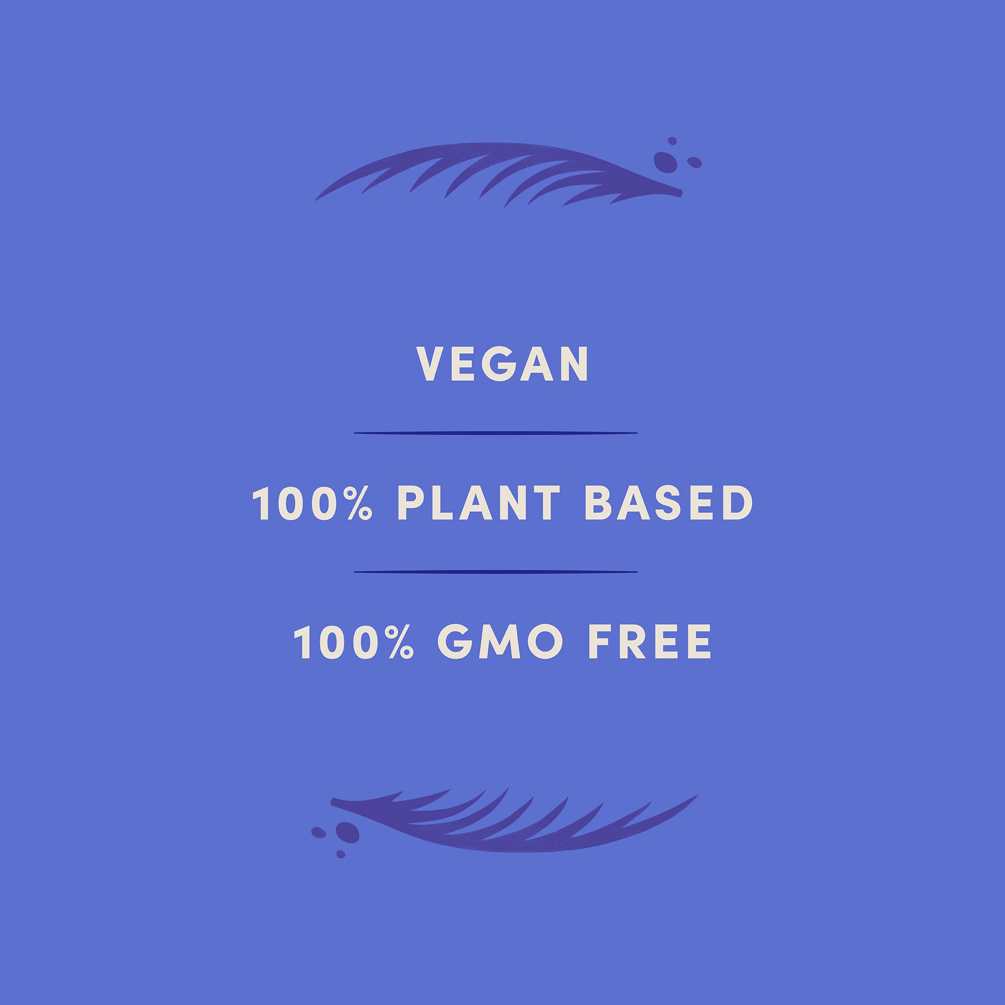 LOVO Coconutmilk Chocolate, 100% Plant-based, Vegan, Non GMO, Gluten-Free, Swiss Made. 2.82 oz (Pack of 12)