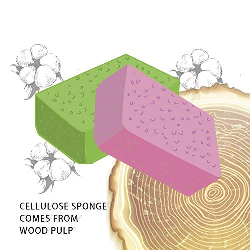 Cellulose Sponges Kitchen, for Washing Dishes, in Bulk, 24 Pack (3 Count x 8 Individually Wrapped + 2 Free Scouring Pads), 100% Natural Biodegradable