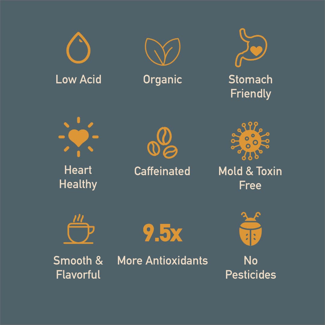 Healthy Bean Organic Low Acid Coffee Beans - USDA Organic Mold-Free, Superfood Infused, Clean and Healthy - Low Acid for Sensitive Stomachs