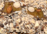 English Toffee Bites w/ Almonds