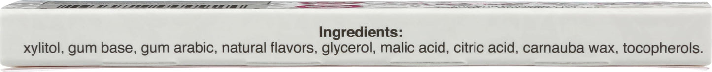 Pur Gum Gum Pomegranate Mint (9.000 Pc)