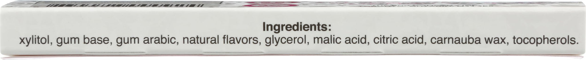 Pur Gum Gum Pomegranate Mint (9.000 Pc)