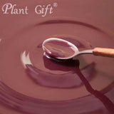 Plant Gift 100% Pure Mulberry Powder ??? Natural, Great Flavor for Drinks, Smoothie and Beverages, Non-GMO Powder - No Filler, No additives, Yogurt