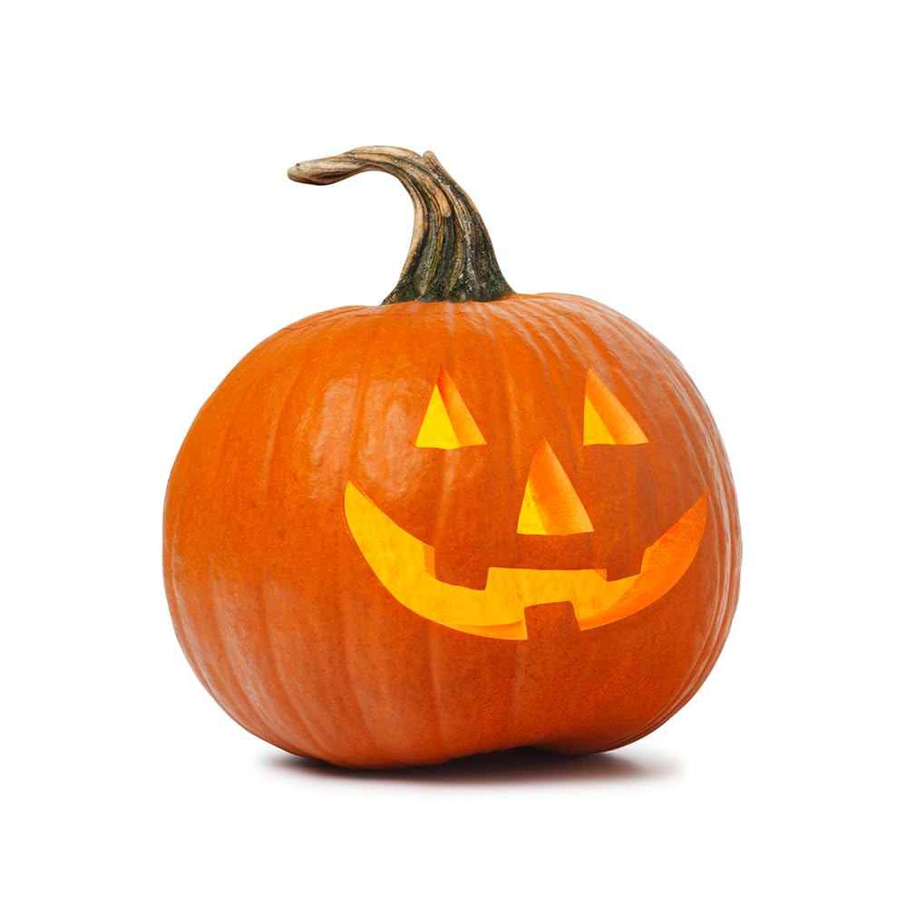 Pumpkin Pie Natural Flavor - Spiced Pumpkin Flavoring for Baking - Beverages - Sugar Free - Non-GMO - Kosher - Vegan - 8 oz