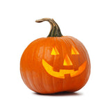 Pumpkin Pie Natural Flavor - Spiced Pumpkin Flavoring for Baking - Beverages - Sugar Free - Non-GMO - Kosher - Vegan - 8 oz