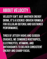 Velocity Iced Tea + Lemonade Energy Drink with Patented Glutathione Antioxidant Formula, Non-Carbonated, Zero Sugar, Keto, 12 Pack (16 oz Cans)