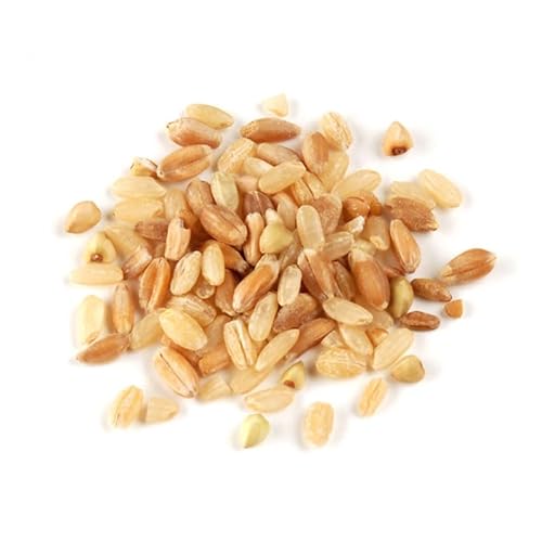 Multi-Grain Blend, 10 lb - 7 Whole Grain Mix with Sprouted Brown Rice, Farro, Spelt & Barley - Hearty Nutty Grain Blend by Woodland Gourmet