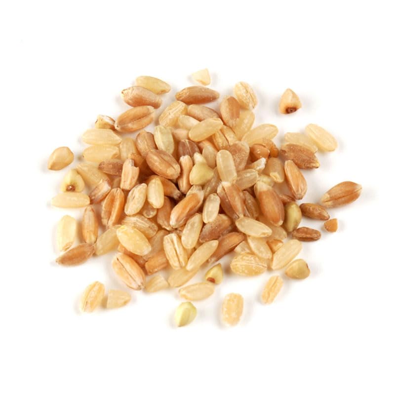 Multi-Grain Blend, 10 lb - 7 Whole Grain Mix with Sprouted Brown Rice, Farro, Spelt & Barley - Hearty Nutty Grain Blend by Woodland Gourmet
