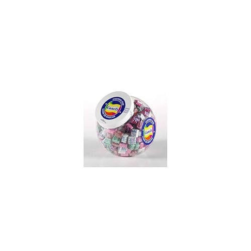 Canel's Chewing Gum - 300 Count