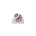 Canel's Chewing Gum - 300 Count