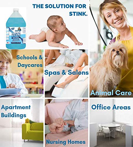 Chem-Girl | FRESH AGAIN Odor Remover & Deodorizer - Neutralizes Foul Odors in Upholstery, Carpet, Air, Shoes, Rugs, Clothes, Dog Beds, Litter Boxes |