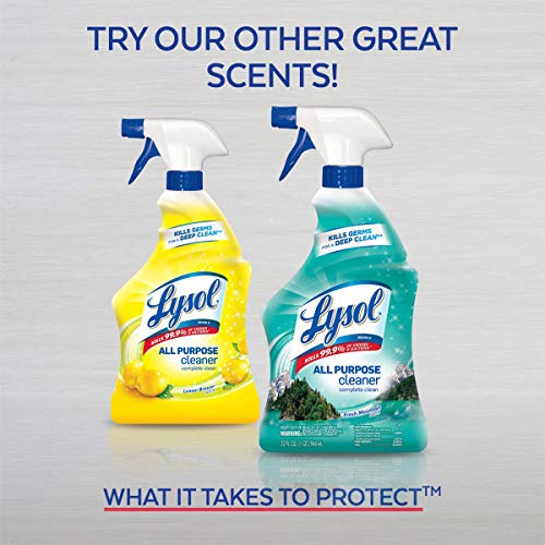 Lysol, All Purpose Cleaner Spray and Brand New Day, Mandarin & Ginger Lily, 32 Fl Oz