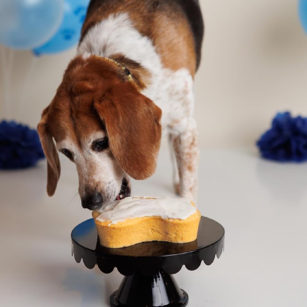 Puppy Cake Dog Birthday Cake Kit - Cake Mix, Icing Mix, Candle and Swirl Tri Color Silicone Pan, Birthday Cake Flavor - Bake or Microwave - Perfect for Celebrating Your Dog’s Special Day - Made in USA