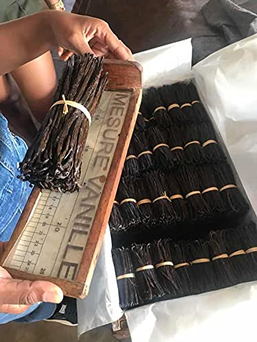 10 Madagascar Vanilla Beans Grade A Whole Vanilla Pods for Vanilla Extract and Baking