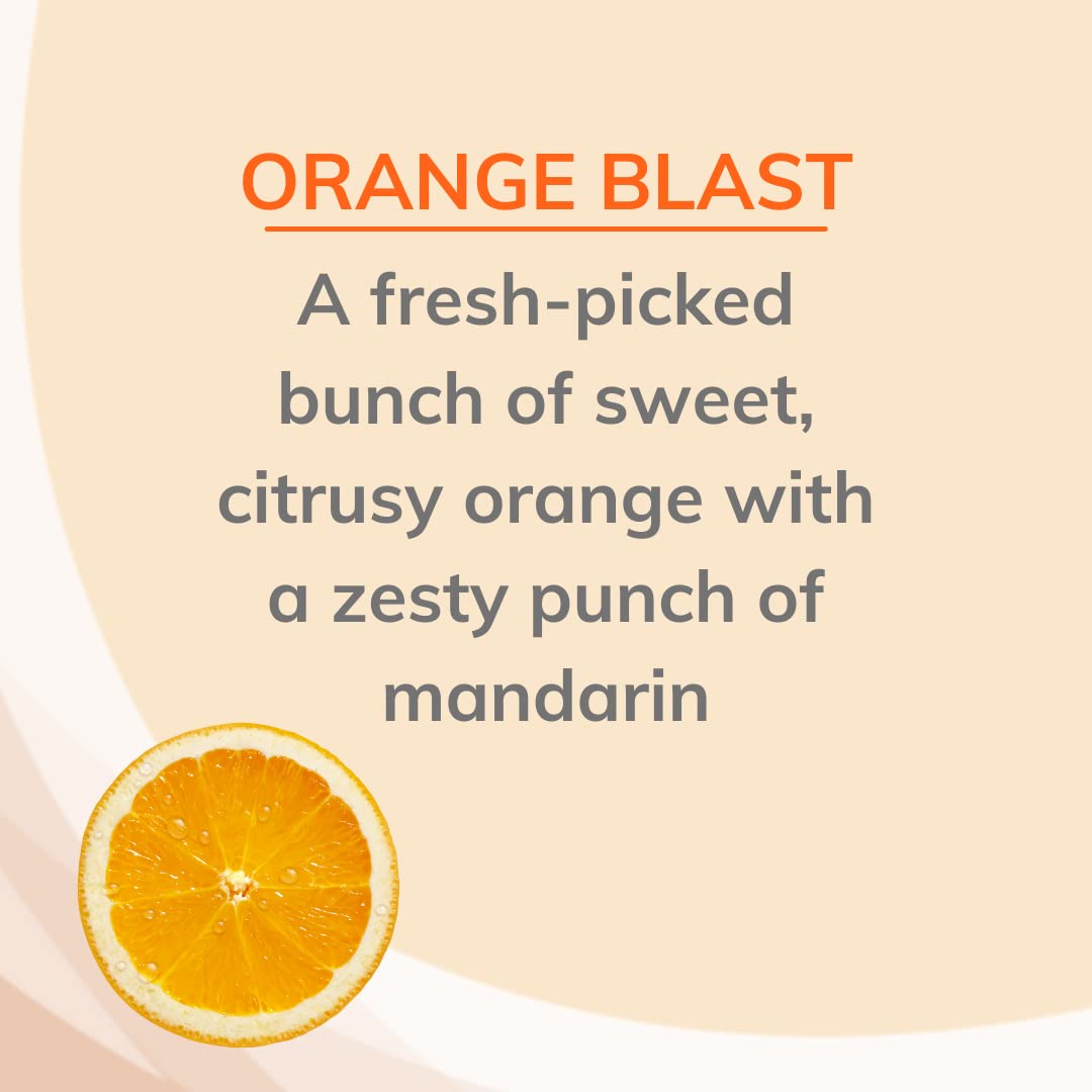 Citrus Magic Air Freshener Tropical Orange, 6 Pack