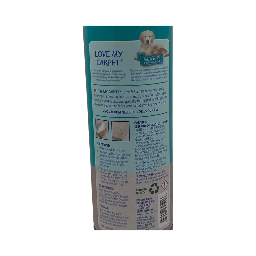 Urine & Stain Remover, 12 Ounce (Pack of 1)