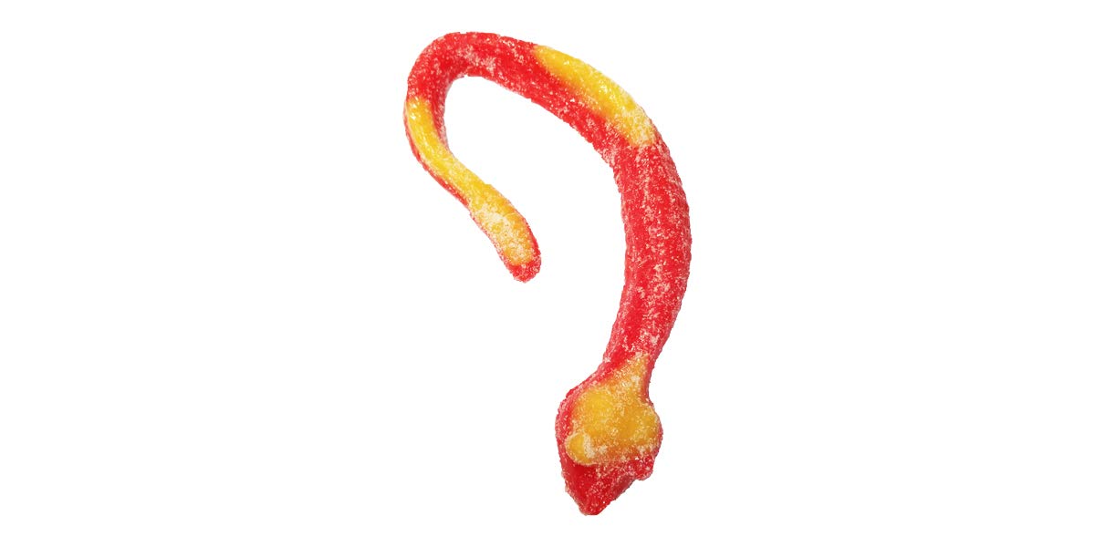 The Gummy Bear Guy (TM) | Sour Gummy Snake (TM) (Cherry with Mango)