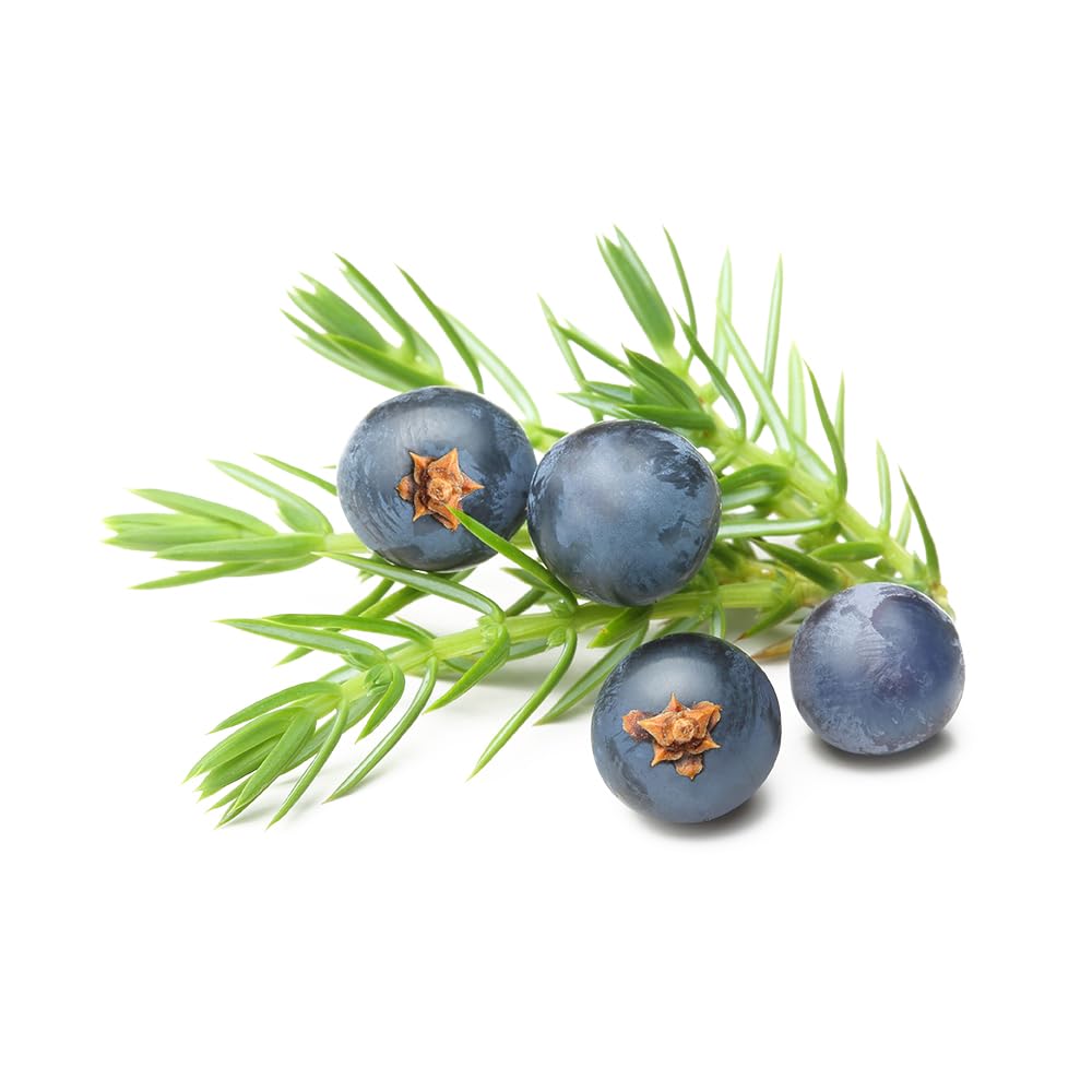 OliveNation Juniper Flavor Extract, Classic Gin Taste Flavoring for Beverages, Meat, Sauces, Baked Goods, Non-GMO, Gluten Free, Kosher, Vegan - 16