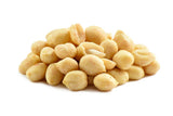 Bulk Blanched Peanuts 20lb (Case) - Wholesale Raw Blanched Peanuts