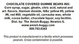 Milk Chocolate Covered Gummi Bears (3 Pound)