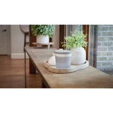 DAMPRID TUB LVNVAN 11OZ