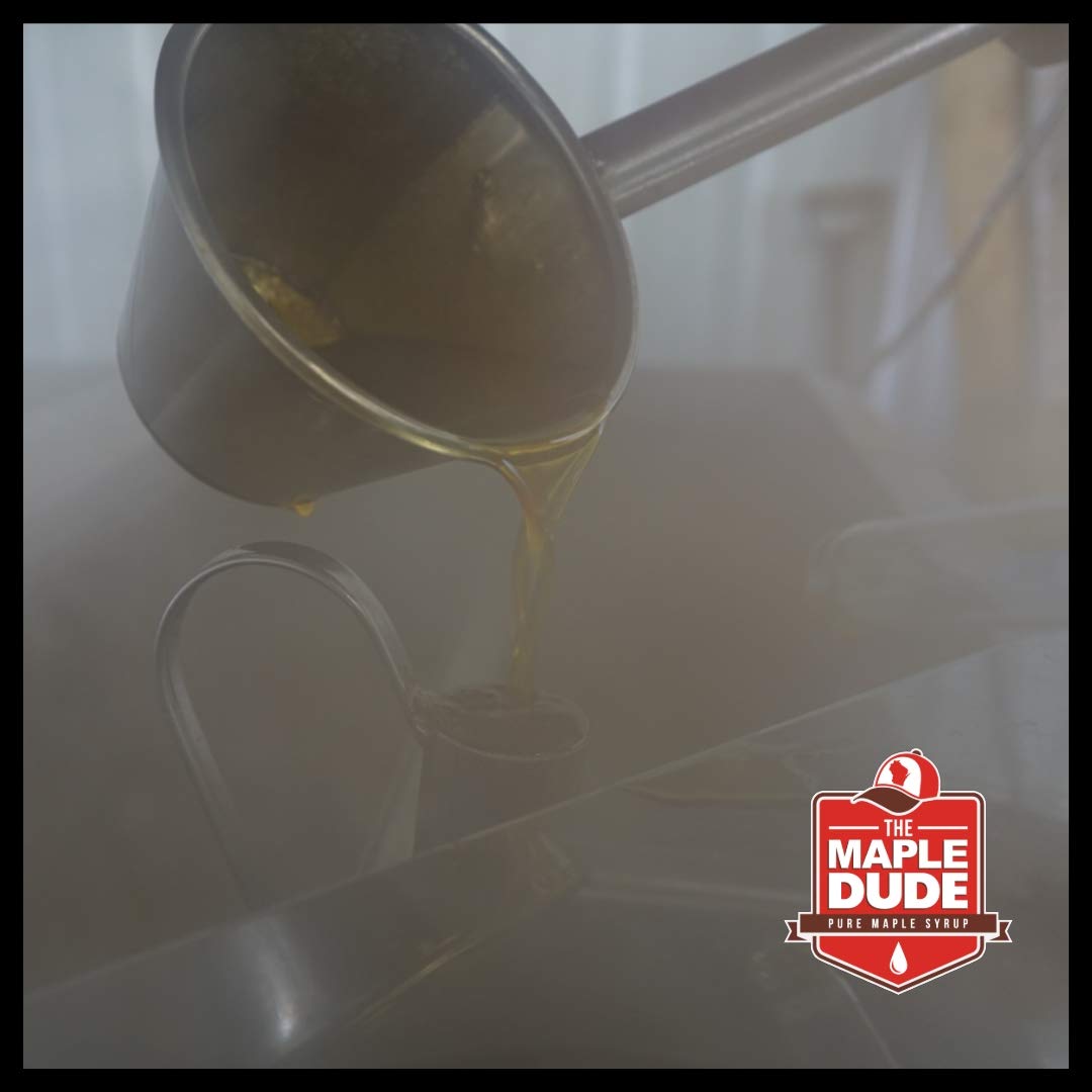 The Maple Dude - Pure Maple Syrup - (Small, 8oz - Half Pint) | Natural | Made in Wisconsin | Great for Pancakes/Waffles