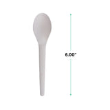 Eco-Products Compostable CPLA 6" Plastic Spoons, Case of 1000, Individually Wrapped Spoon, Disposable White Plantware Cutlery, Renewable Material Made