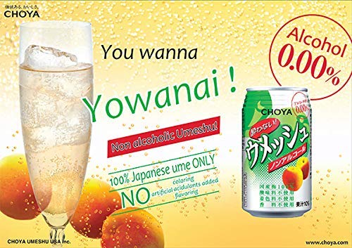 CHOYA Umeshu Non Alcoholic Plum Wine Soda 350 ml (Pack of 12) - 100% Wakayama Prefecture Plum - No Artificial Flavors, No Additives, Using Real Sugar