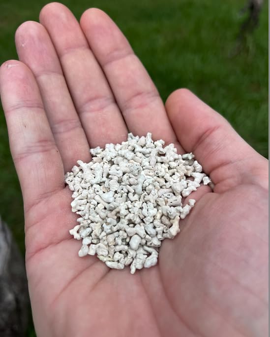 LitChicks’ Calcified Seaweed for Laying Chickens - Crushed Oyster Shell Alternative - Highly Digestible - Single Ingredient - Helps with Egg Laying