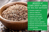 Desi Kitchen Cumin Seeds Whole (Jeera) Spice 5lbs (80oz) 2.27kg Bulk, PET Jar ~ All Natural, NON-GMO, Vegan, Indian Origin
