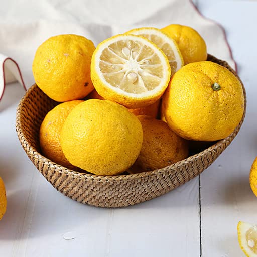 NONGHYUP HONEY CITRON TEA 1KG (YUJA TEA, YUZU TEA)