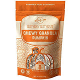 Pumpkin Grain Free Granola by Within/Without | Certified Paleo and Keto Diet Friendly Chewy Granola | Naturally Gluten Free Low Carb Snack | No