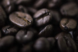 POVERTY BAY COFFEE CO. Alice Lake USDA Certified Organic Dark Roast Coffee Beans, 2lb Bag