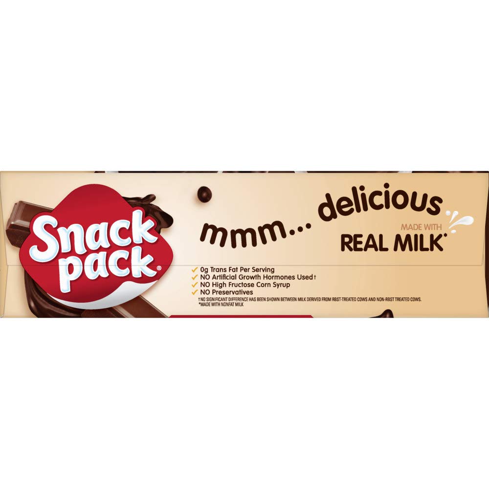 Snack Pack Chocolate Fudge & Milk Chocolate Swirl Pudding Cups, 3.25 Oz., 12 Count (Pack of 2)